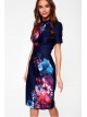 Natalie Navy and vibrant pink sleeved floral midi dress